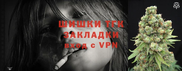 ешки Вязьма