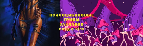 спайс Вяземский