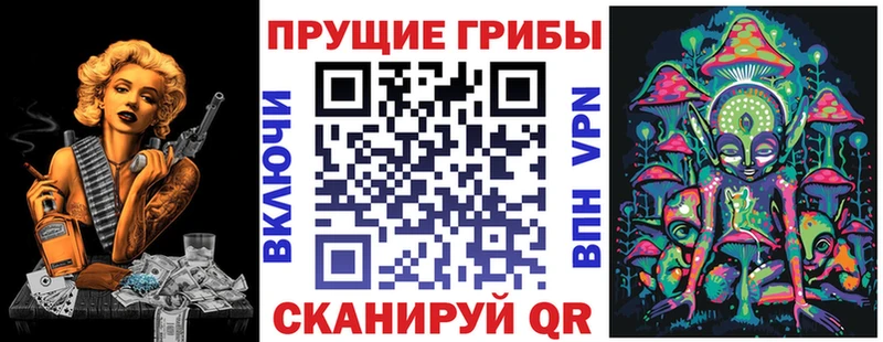 Купить  Ногинск  Галлюциногенные грибы MAGIC MUSHROOMS 